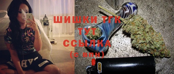 СК Алексин