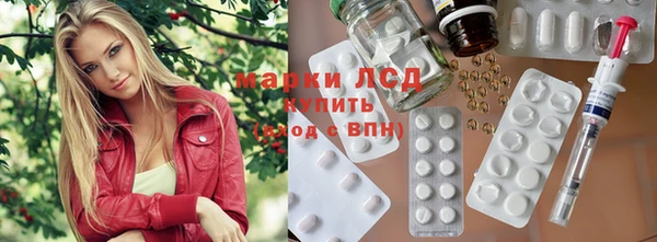 PSILOCYBIN Алзамай