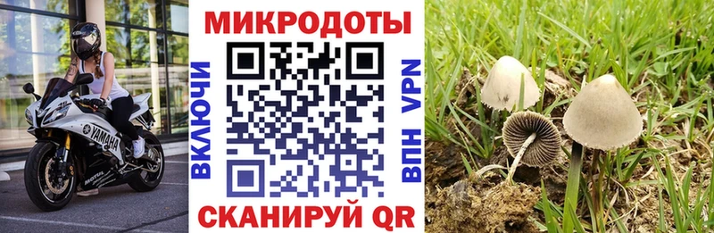 наркотики  Краснотурьинск  Псилоцибиновые грибы ЛСД 